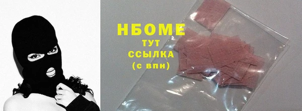 индика Михайлов