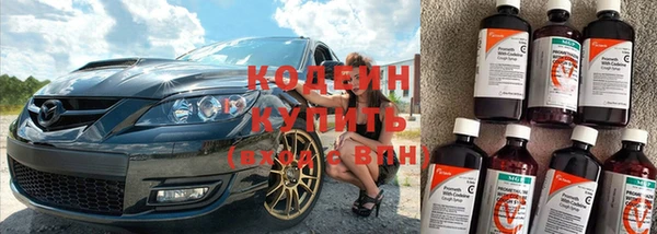 индика Михайлов