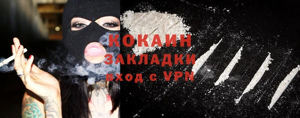 индика Михайлов
