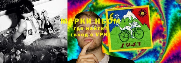 индика Михайлов