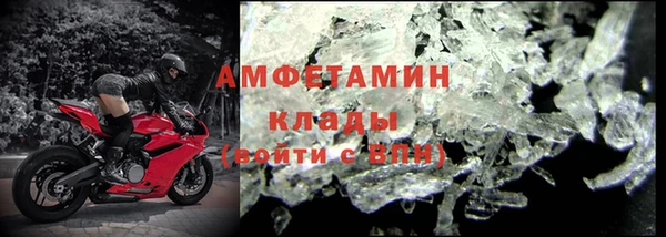 индика Михайлов