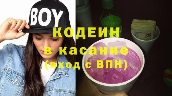индика Михайлов