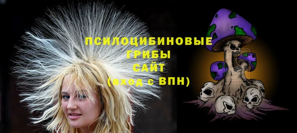 индика Михайлов