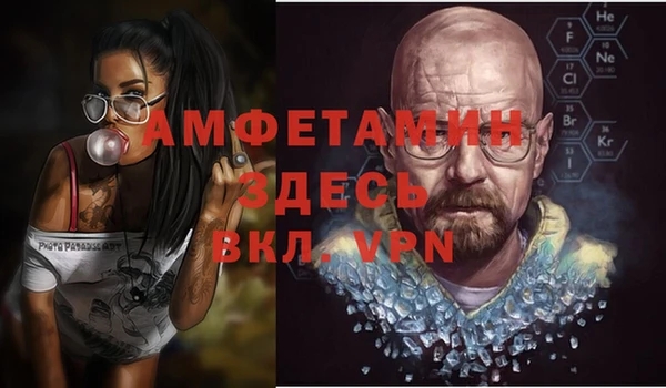 индика Михайлов