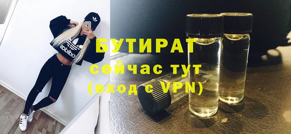 индика Михайлов