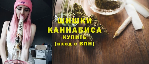индика Михайлов