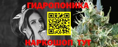стаф Гусь-Хрустальный