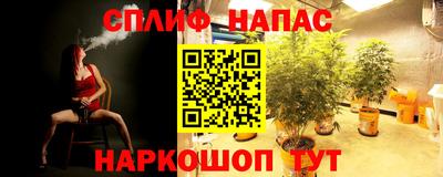 стаф Гусь-Хрустальный