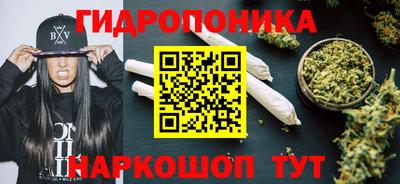 индика Гусиноозёрск