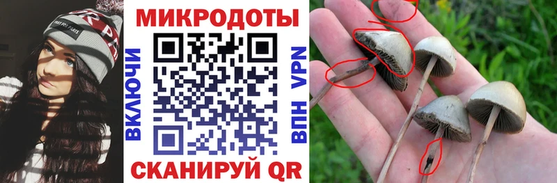 мега зеркало  Лабытнанги  сайты даркнета телеграм  Галлюциногенные грибы мицелий 