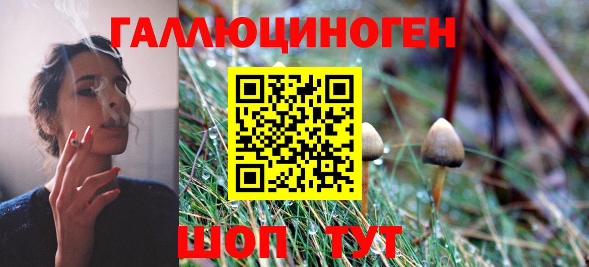 Псилоцибиновые грибы Psilocybine cubensis  Вход с VPN  Лабытнанги  Галлюциногенные грибы Psilocybine cubensis 